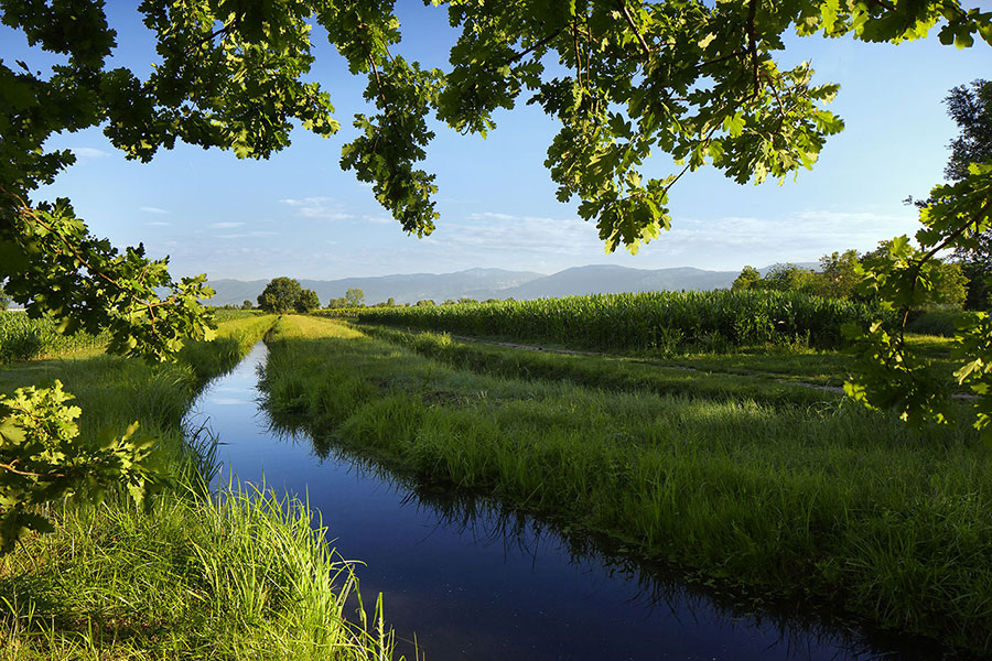 Comune di Fontanelle - il Fiume Monticano