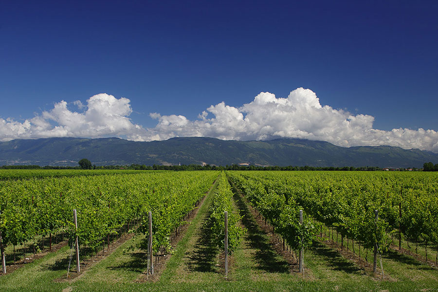 Comune di Fontanelle - Vista Tenuta e Villa Marcello