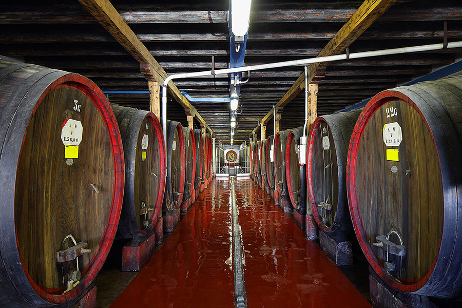 Interno Cantina Villa Marcello