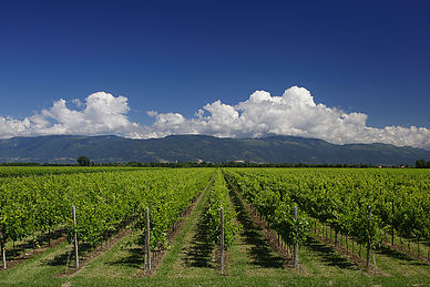 Comune di Fontanelle - Vista Tenuta e Villa Marcello