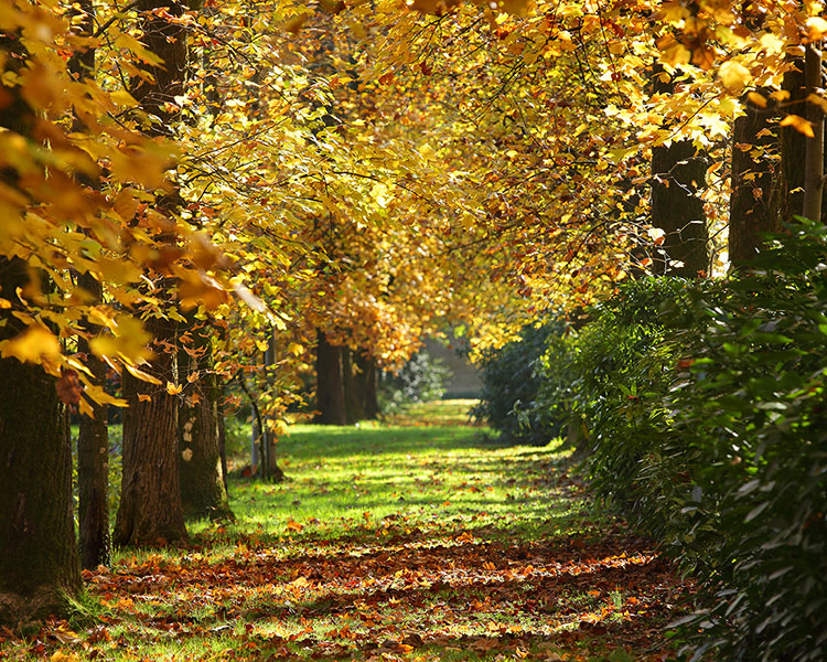 Parco Villa Marcello